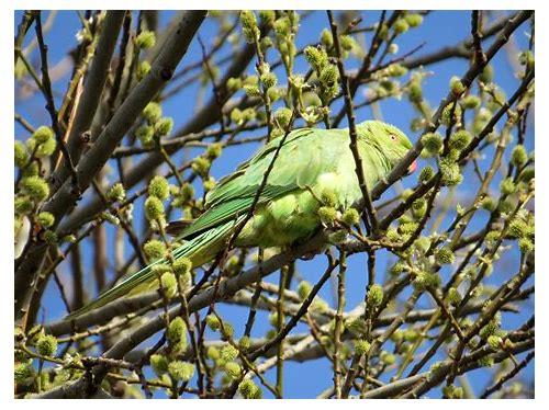 备孕必修课：微量元素检测，为好孕保驾护航