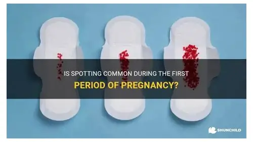 科学规划，从容迎接——备孕想生二胎的全方位指南