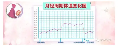 备孕怎么才能科学高效?从身体调理到心理建设全攻略 备孕怎么才能科学高效?从身体调理到心理建设全攻略