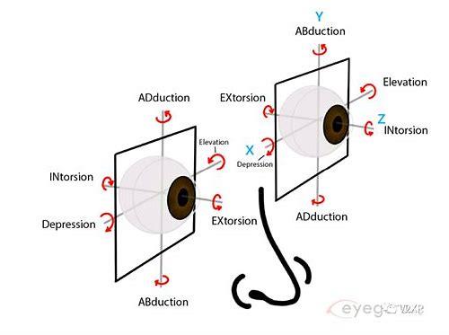 怀孕初期的情绪变化：一场悄然而至的心灵风暴