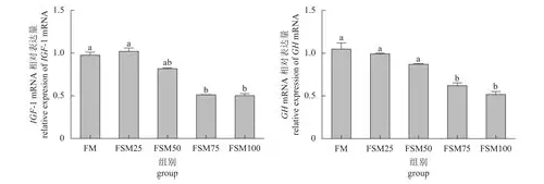 备孕喝黑豆浆：科学滋养，助力好“孕”气