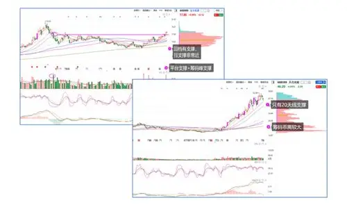 孕产妇心理测评系统：守护母婴健康的“心灵卫士”